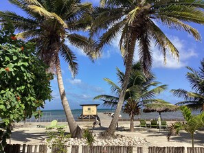 Property grounds - Ocean Front, Pool, Bar & Grill, Tour Center, Includes First Night Dinner (San Pedro)