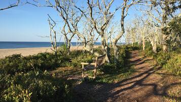 Nära stranden, solstolar och strandhanddukar