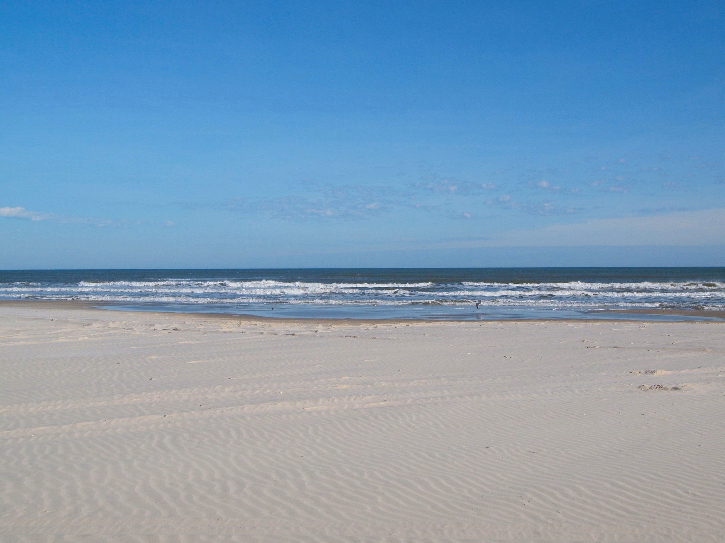 在海灘附近、躺椅