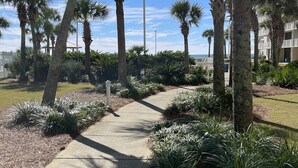A pathway lined with palm trees and a building in the background. - EXTREME MAKEOVER- 200 5 STAR REVIEWS. DIRECT BEACH VIEWS-LUXURY AT GREAT PRICING (Orange Beach)