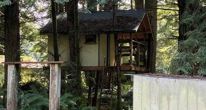 Picturesque forest homes