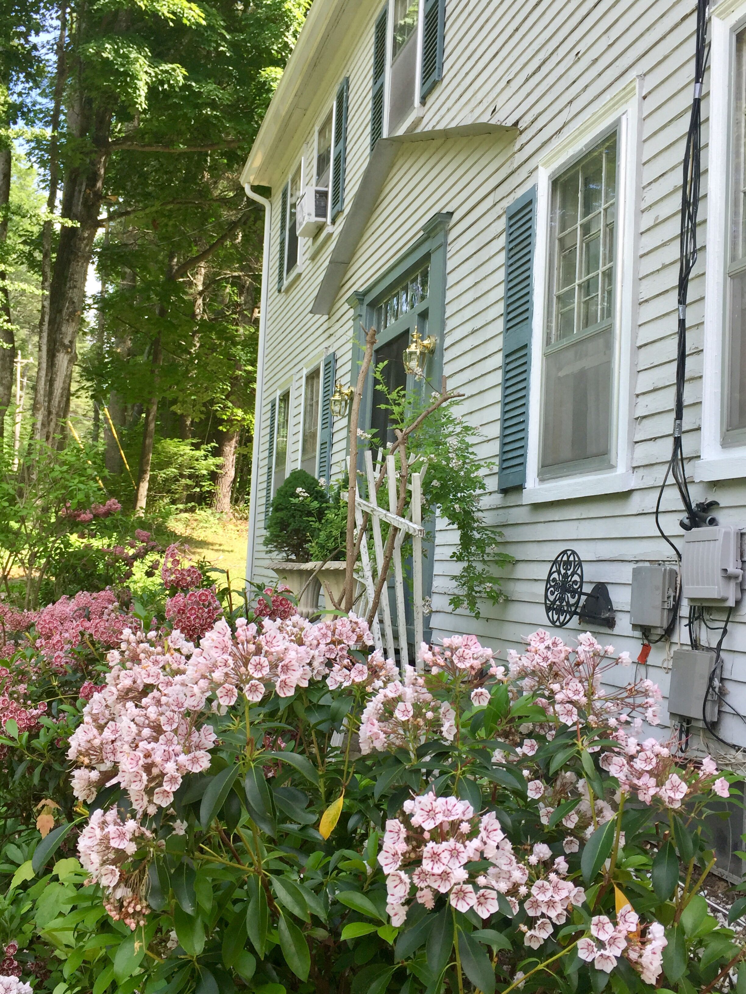 One of several gardens