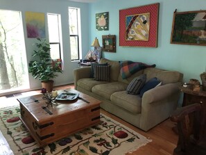 Smart TV, DVD player, books, music library