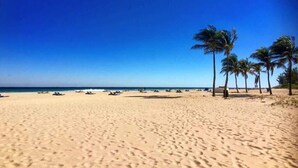 A beach with clear skies, palm trees, and a sandy shore.