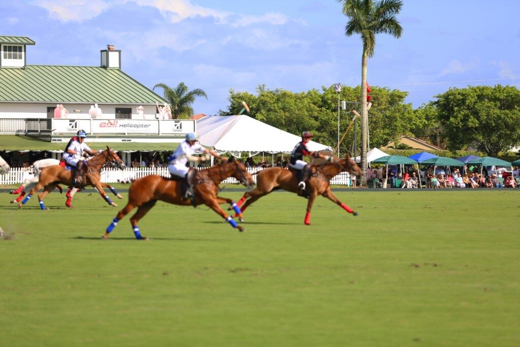 Partido de polo con jugadores a caballo en un campo de césped, espectadores al fondo y un edificio con techo verde.