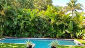 A swimming pool surrounded by lush tropical plants and a clear blue sky.