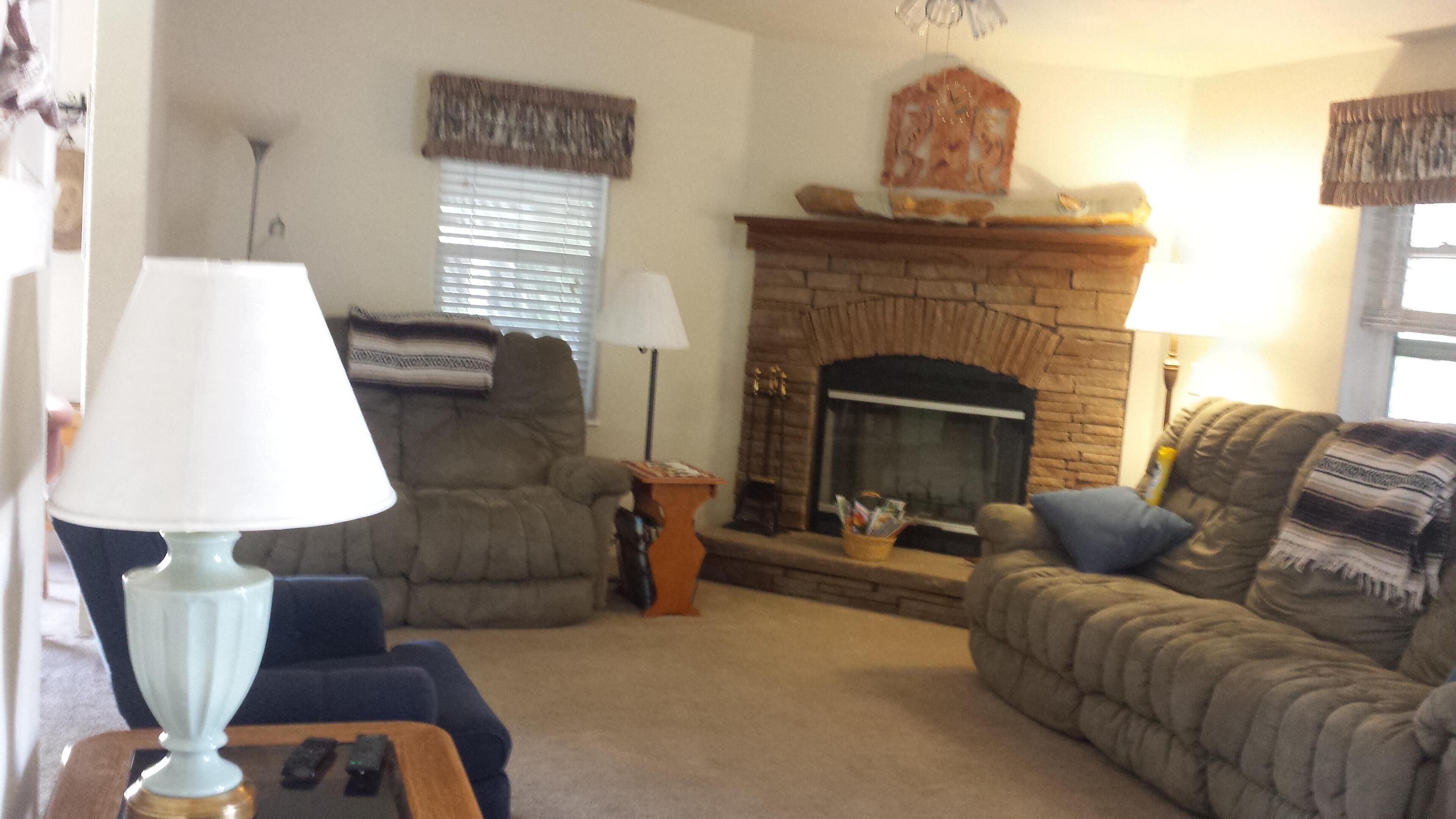 Smart TV, fireplace, Netflix, books