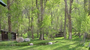 A rustic cabin surrounded by a forest with a grassy area and large rocks.