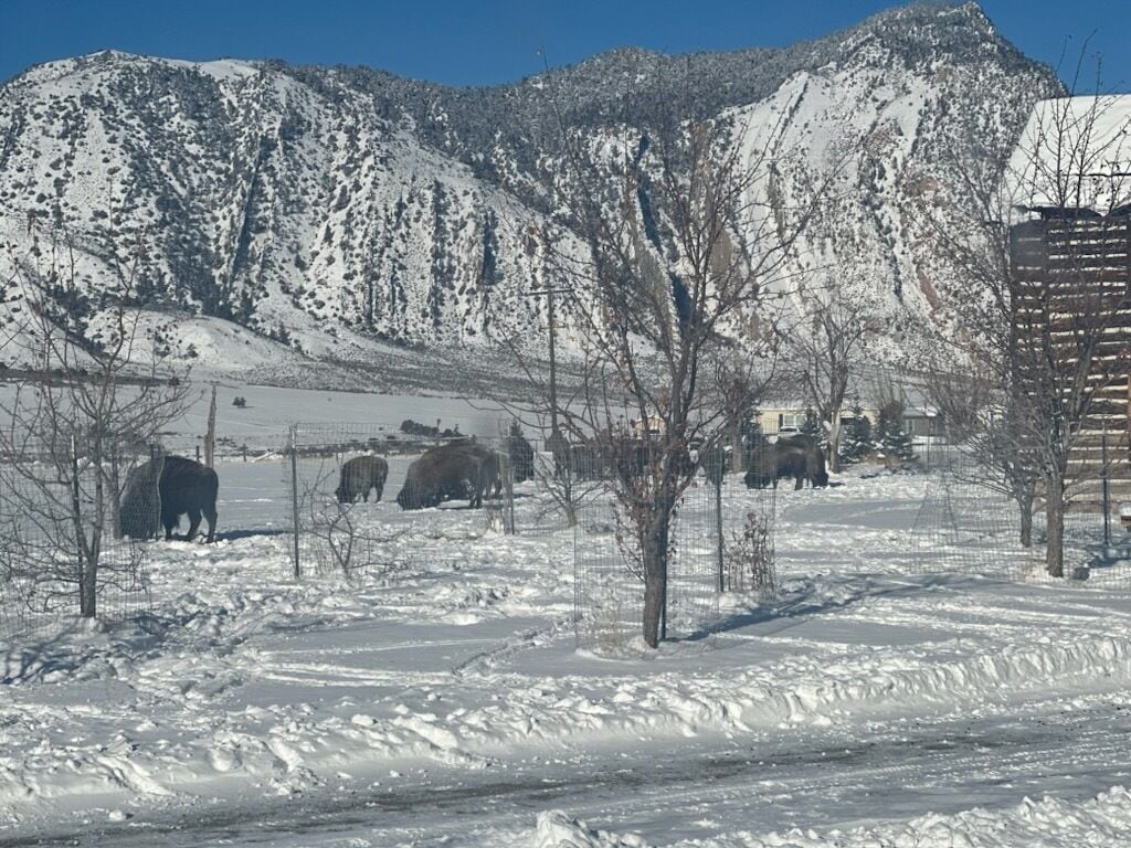 Un paisaje nevado con montañas al fondo y un edificio de techo inclinado en primer plano.