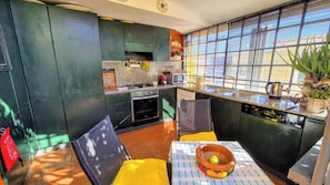 Fridge, microwave, oven, stovetop - Apartment Fiore is big, romantic,  green terrace close Trastevere and Vatican (Rome)