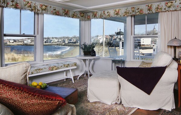 Smart TV, fireplace, DVD player, books