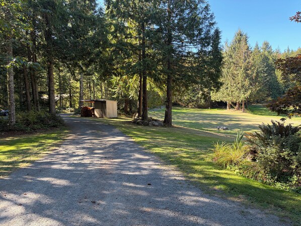 A gravel path leading to a small wooden structure in a forested area with tall trees and grass.