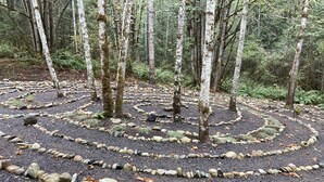 Un bosque con un camino de piedra circular rodeado de abedules.