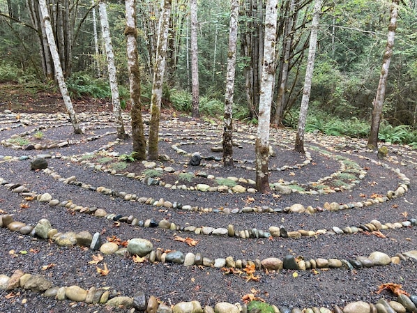Un bosque con un camino de piedra circular rodeado de abedules.
