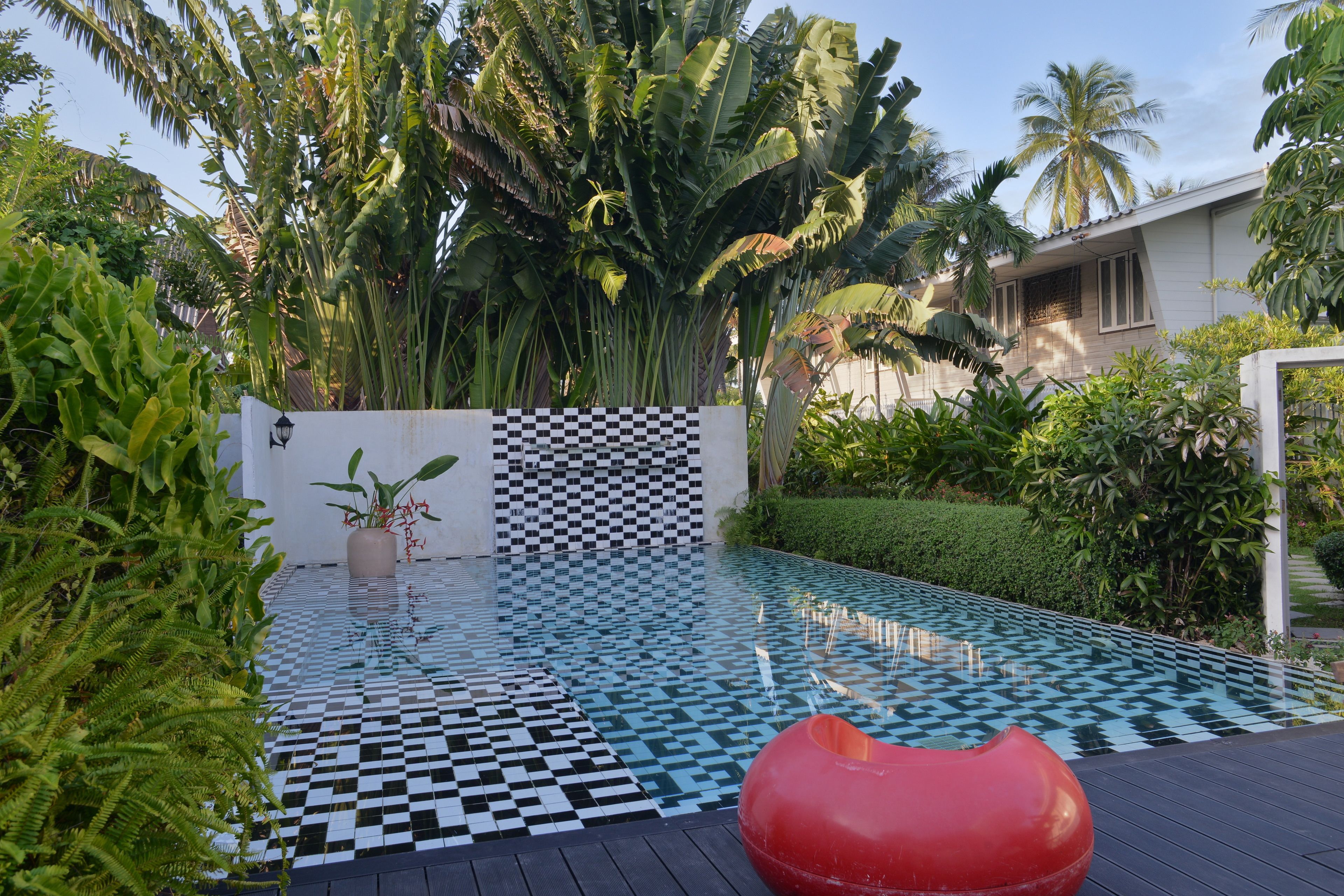 A pool with a checkered tile pattern, surrounded by lush tropical plants and a palm tree.
