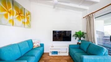 Smart TV, fireplace, DVD player