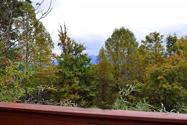 A view of a forested area with a wooden deck in the foreground.
