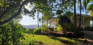 Property grounds - Valleydale Cottage - Byron hinterland escape (Goonengerry)