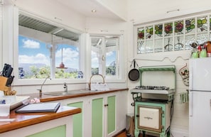 Una cocina con vista a las montañas, una estufa verde y un ventanal con diseño floral.