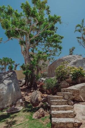 Jardines del alojamiento