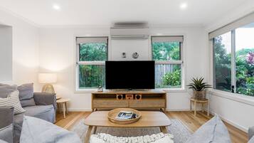 Smart TV, Netflix, DVD player, streaming services