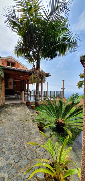 Terassi/patio