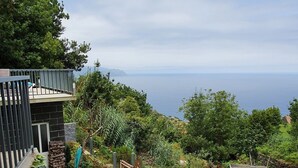 A well-maintained garden with a variety of plants and flowers, a pathway, and a view of the sea.