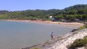 Une plage côtière aux eaux cristallines, bordée d’un rivage sablonneux, avec une colline boisée en arrière-plan.