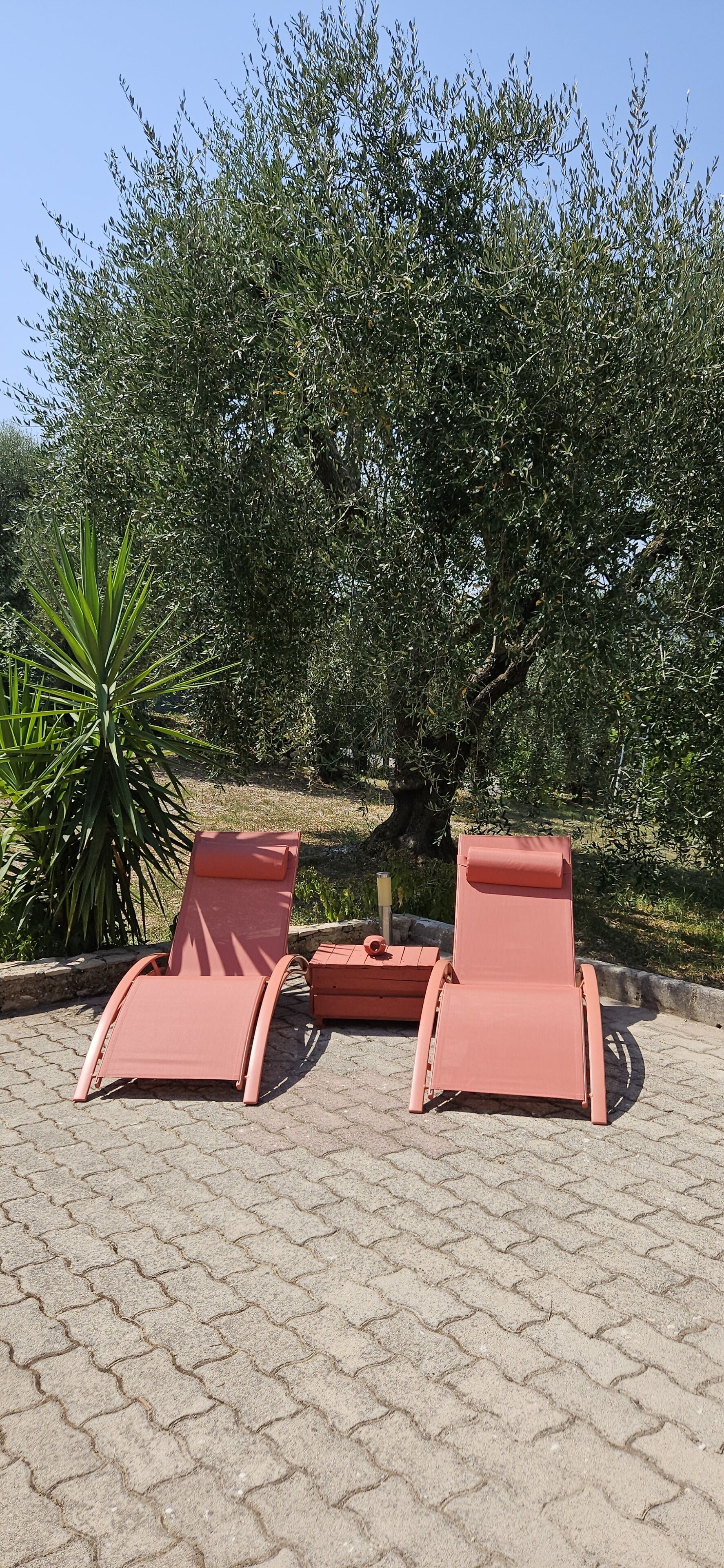 Deux fauteuils rouges confortables, accompagnés d’une petite table, sont placés sur une zone pavée, avec un grand arbre en arrière-plan.