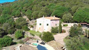 A villa with a garden, a swimming pool, and solar panels. - Ca Na Bassera, Country house in Alcudia, Mallorca (Alcúdia)