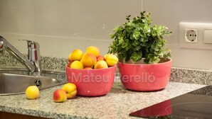 A kitchen with granite countertops, a stainless steel sink, and a potted plant. - Obelisc-1, 2 DB apartment near the beach (Can Picafort)