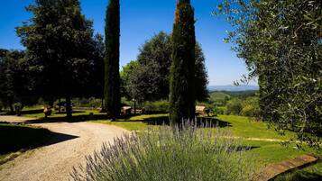 Parco della struttura