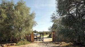 Ein Kiesweg führt zu einem verschlossenen Eingang, umgeben von dichten Olivenbäumen.