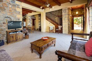 TV connectée, cheminée, lecteur de DVD, chaîne hi-fi