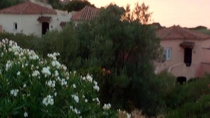 Plattelandsgezicht met traditionele gebouwen, een heldere lucht en een veld vol witte bloemen.