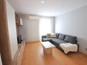 تلفزيون، مشغل دي في دي