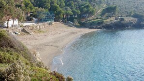 Un paysage côtier avec une plage de sable, une clôture en bois et, en arrière-plan, des arbres et des collines.