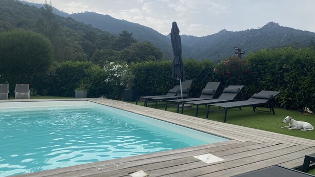A swimming pool with lounge chairs and a dog, surrounded by greenery and mountains.