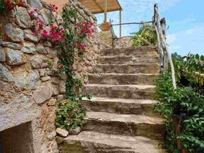 Steps lead to a charming wooden structure amidst lush greenery.