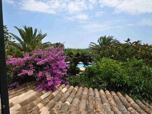 المنطقة المحيطة بالمنشأة