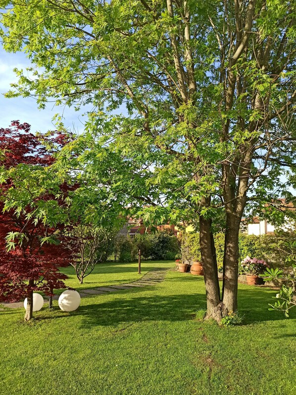 A well-maintained garden with a variety of trees, a clear pathway, and potted plants.