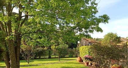 Amaryllis vacation homes - daisy apartment CODE CIN; IT011002B4COYDJRPS