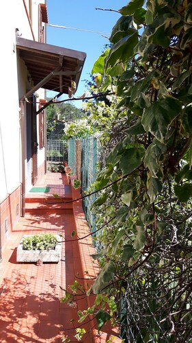 Amaryllis vacation homes - daisy apartment CODE CIN; IT011002B4COYDJRPS