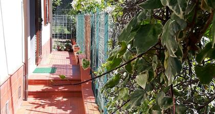 Amaryllis vacation homes - daisy apartment CODE CIN; IT011002B4COYDJRPS