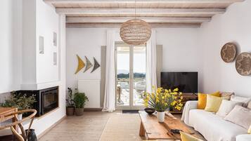 Smart TV, fireplace, DVD player, printers