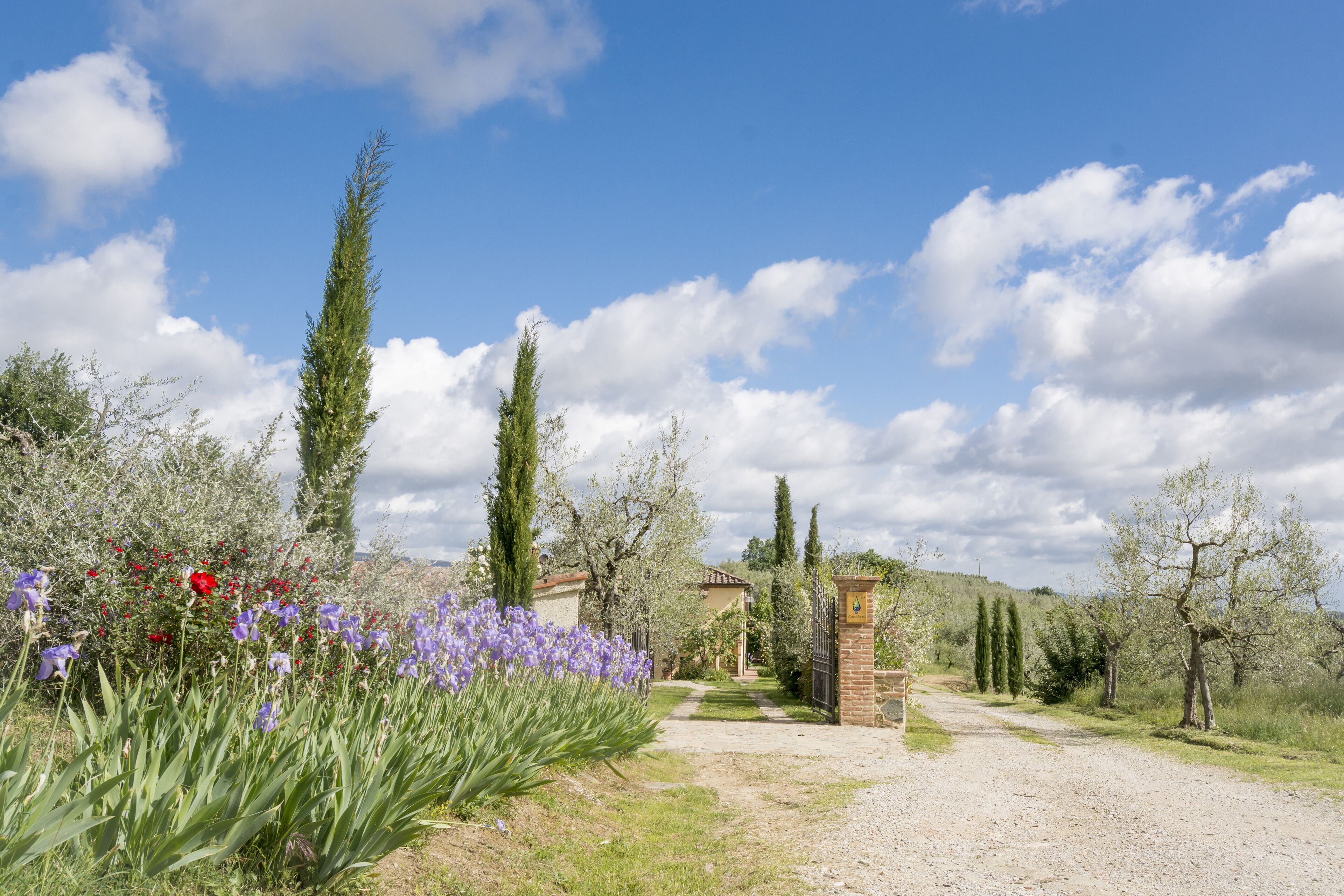 Parco della struttura