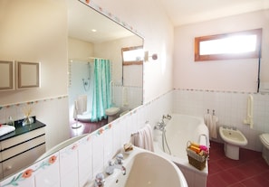 Bathtub, free toiletries, hair dryer, bidet