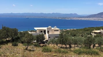 A modern building with a flat roof and solar panels, surrounded by trees and overlooking a coastal area with mountains in the distance.