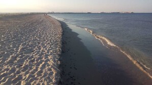 A beach with a sandy shore and calm water.