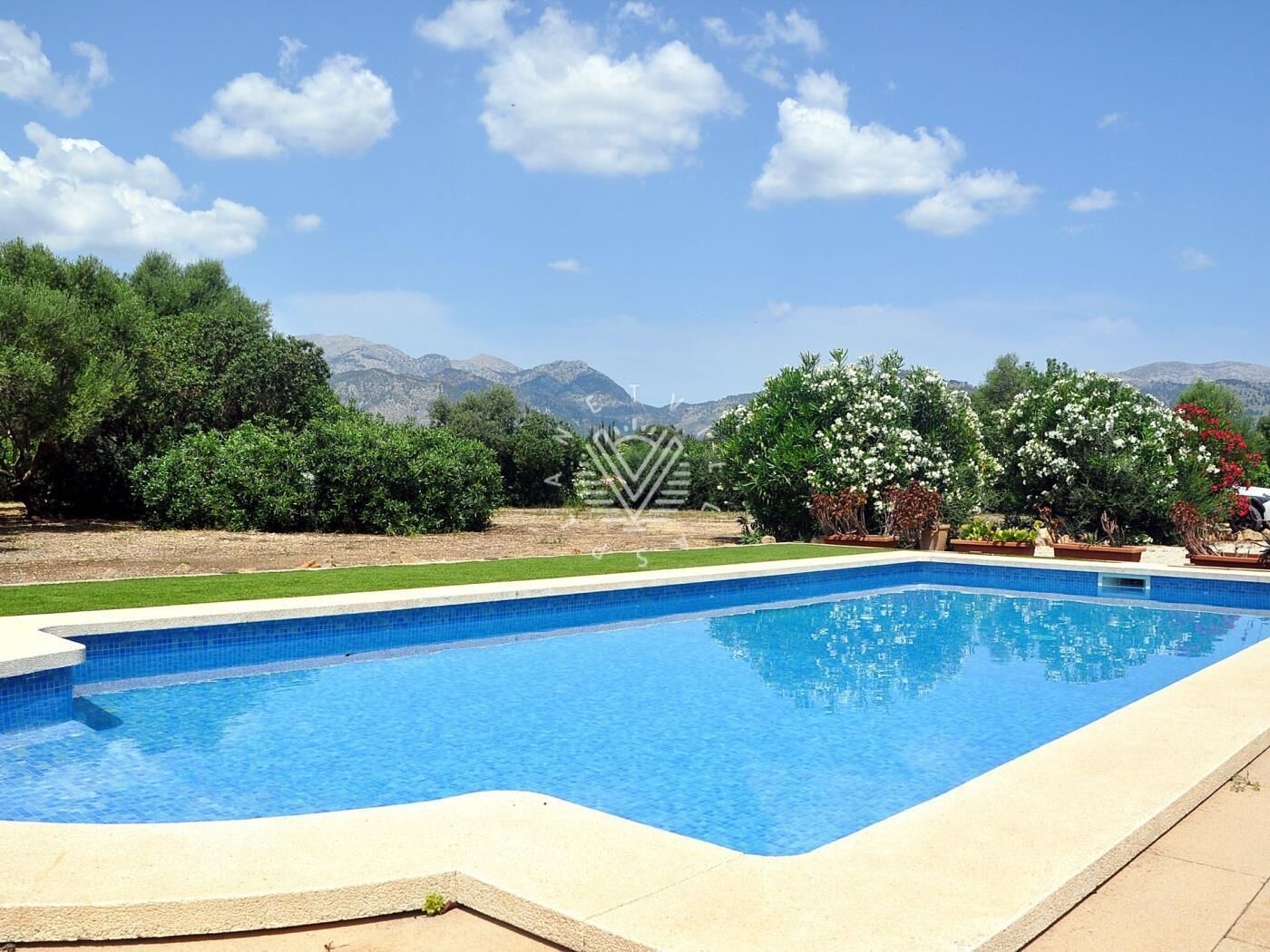Une piscine rectangulaire à l’eau d’un bleu limpide, entourée d’une terrasse de couleur beige. Au fond, on aperçoit des arbres verts et une chaîne de montagnes sous un ciel dégagé.